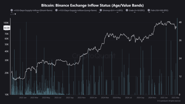Binance Whales Cash Out as Bitcoin Drops&mdash;More Downside Ahead?